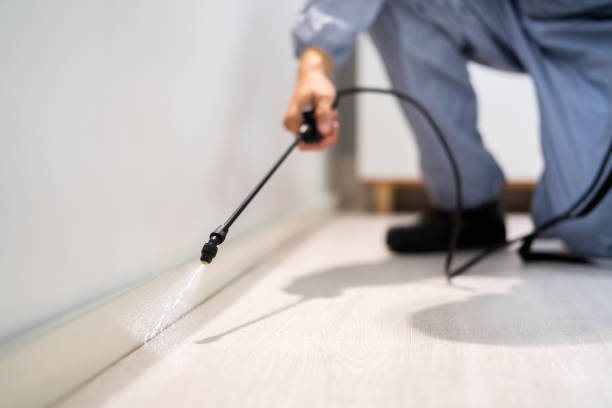 Licensed Termite Control service in Mercerville, NJ - Show Me Pest Control